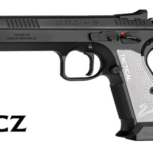CZ TS2 Silver