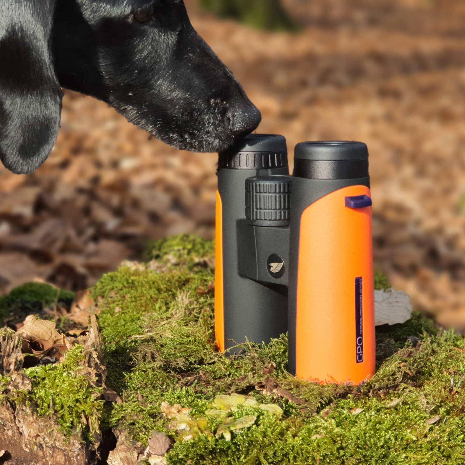 GPO Passion™ ED 8x32 – Bild 16