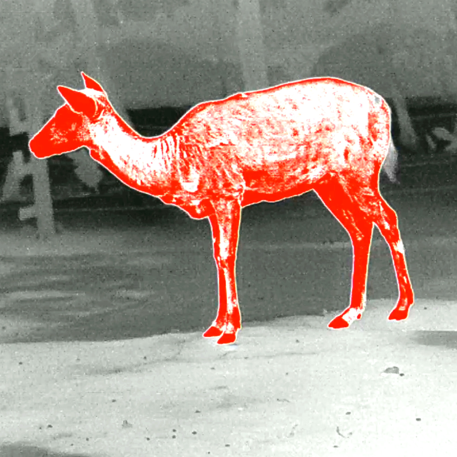 PARD TA32 LRF Wärmebild-Monokular – Bild 9