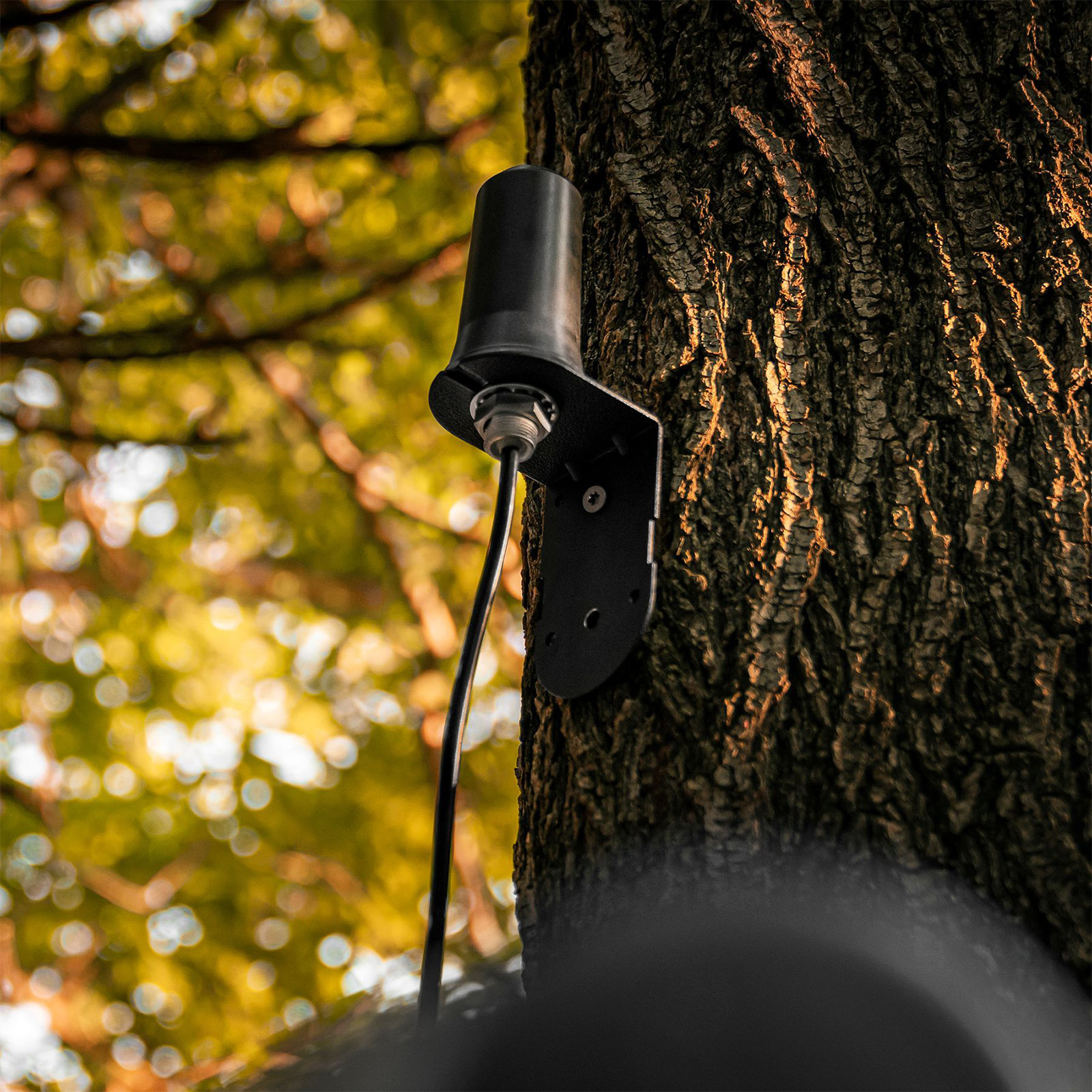 SPYPOINT Mobilfunkantenne – Bild 3