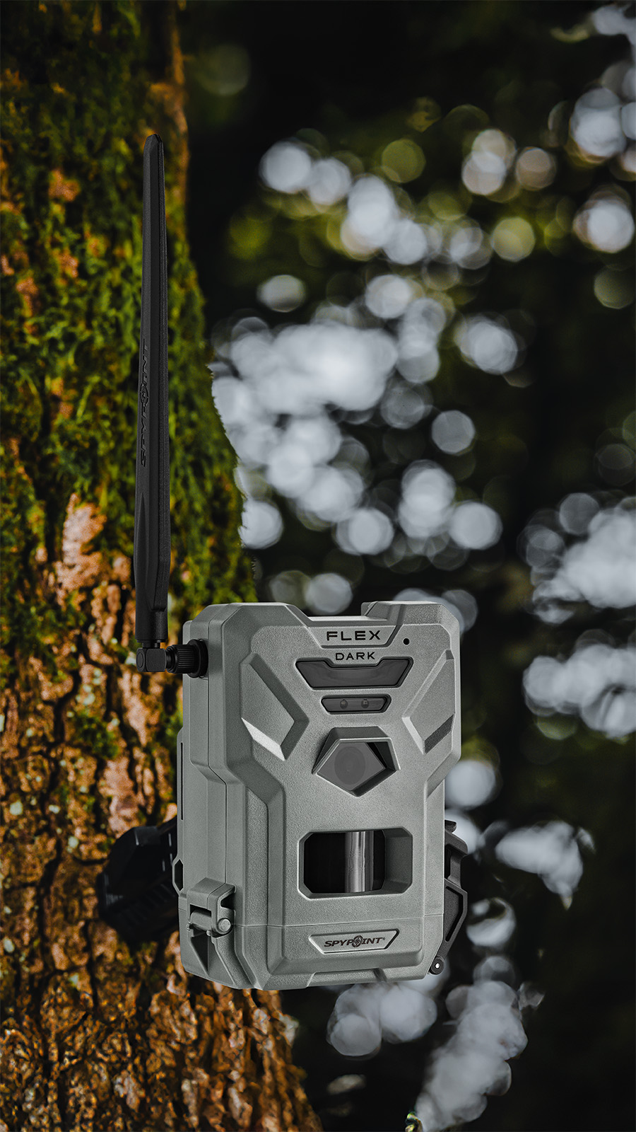 SPYPOINT Flex-Dark Wildkamera – Bild 28