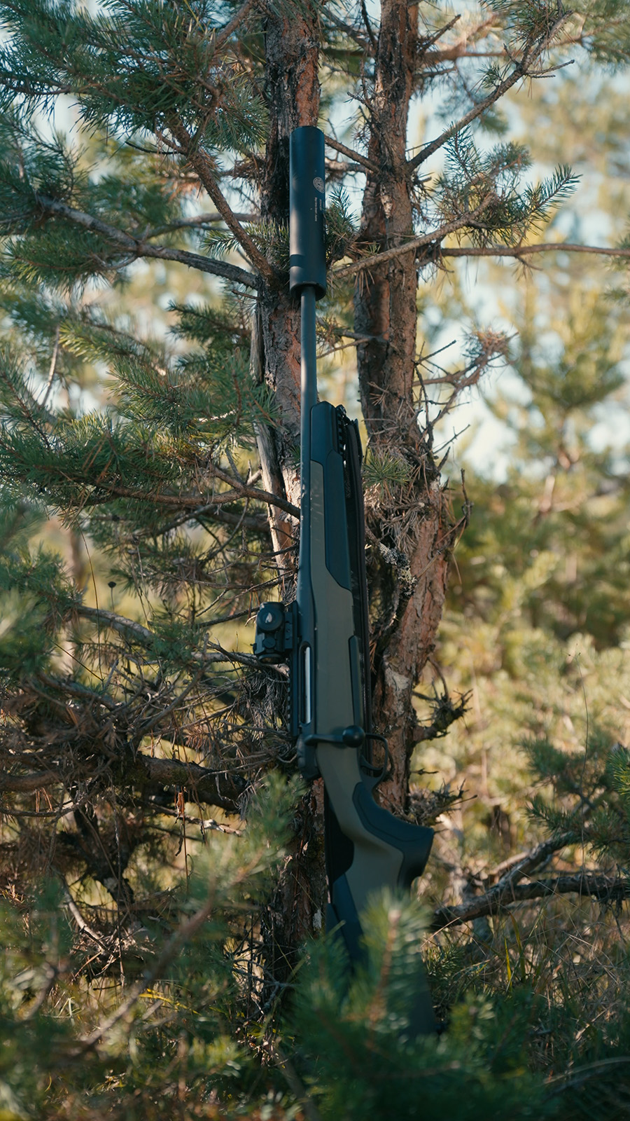 STEYR RMS Wild Geradezugrepetierer (LL – Bild 11